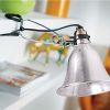 Simple Deluxe HIWKLTCLAMPLIGHTSX12 12-Pack Clamp Lamp Light with 5.5 Inch Aluminum Reflector up to 60 Watt E26/E27 (no Bulb Included) 6 Feet 18/2 SPT-